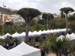 Imagen 3 de la XIX FERIA EMPRESARIAL DEL NORTE DE GRAN CANARIA