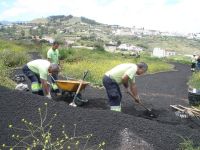 Imagen 2 del Taller de empleo Norte G.C.