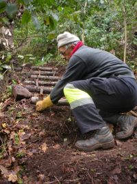 Escalones en el camino